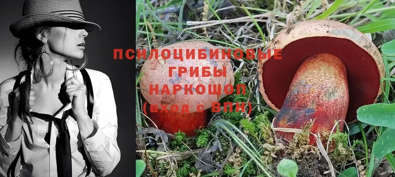 Псилоцибиновые грибы Magic Shrooms  Валуйки 